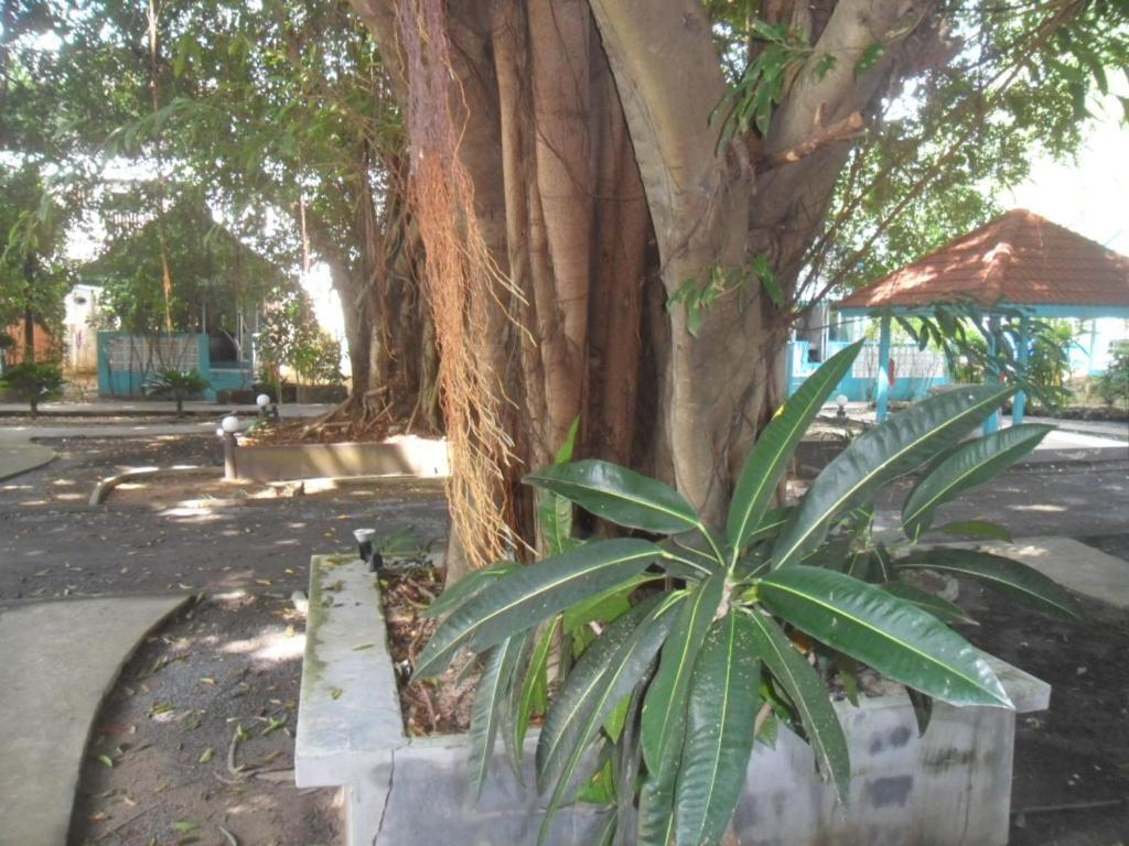 Blu' Beach Bungalows 拉迈海滩 外观 照片